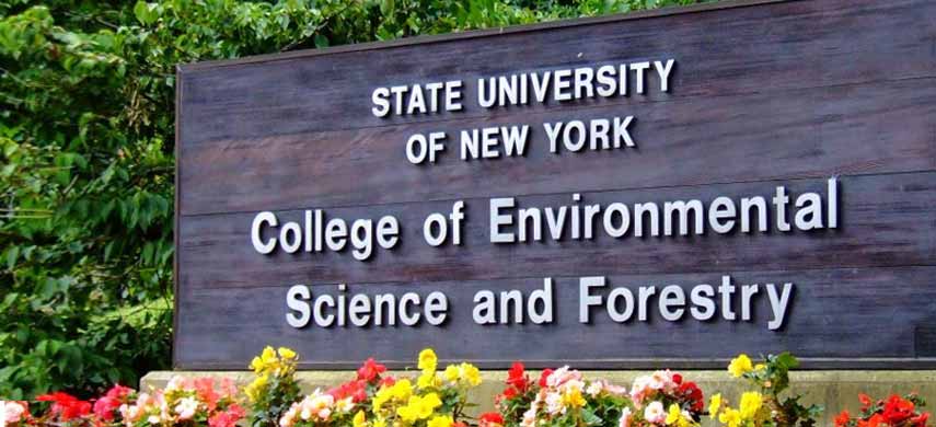 纽约州立大学环境科学与林业科学学院简介