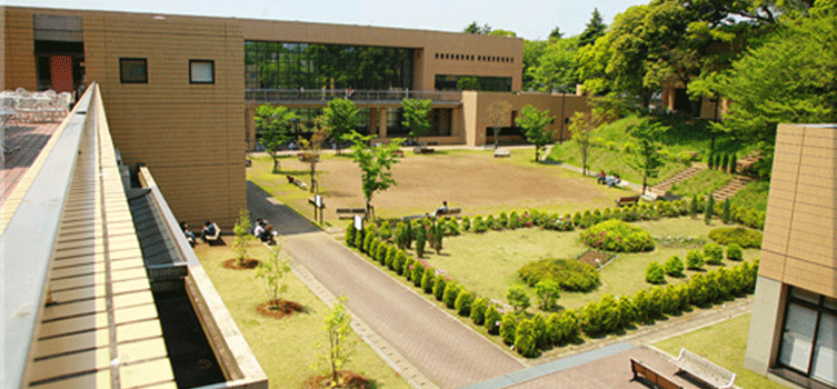 日淑德大学shukutokuuniversity